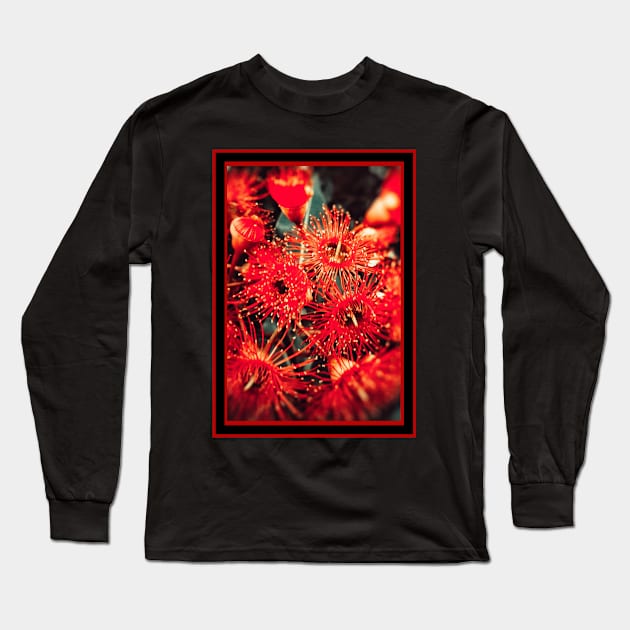 Beautiful Red Spikey Flowers Long Sleeve T-Shirt by Blue Butterfly Designs 